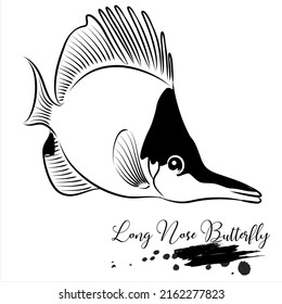 Long nose butterfly, saltwater fish, realistic sketch vector illustration 