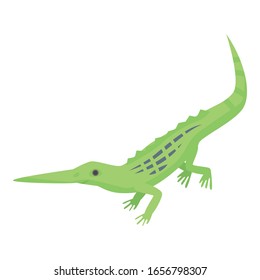 Long nose lizard icon. Isometric of long nose lizard vector icon for web design isolated on white background