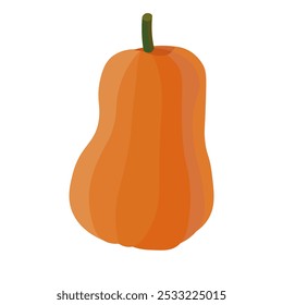 Long orange pumpkin flat icon. Vector illustrations isolated on white background.