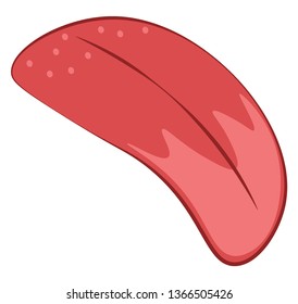 A long organ called lounge vector or color illustration