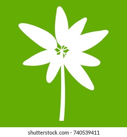 Long palm icon white isolated on green background. Vector illustration
