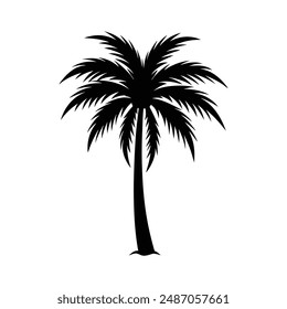 long Palm tree silhouette vector illustration