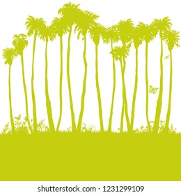 Long palm trees in the sun