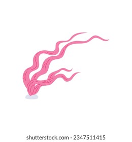 Long pink seaweeds flat style, vector illustration isolated on white background. Decorative design element, underwater wildlife and nature, bending plant