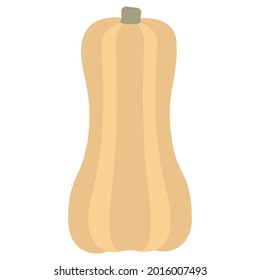 Long Pumpkin Gourd For Thanksgiving Day or Halloween design Isolated vector illustration on white background