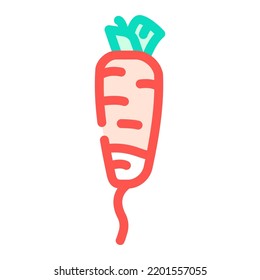 long radish color icon vector. long radish sign. isolated symbol illustration