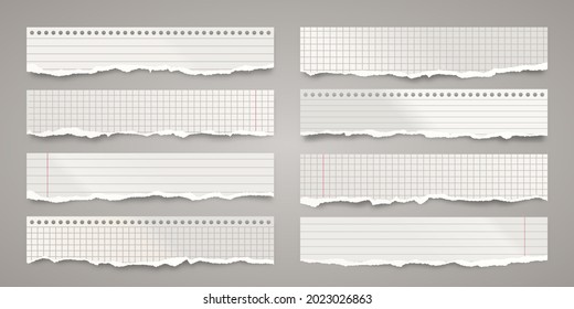 Long ripped paper strips. Realistic crumpled paper scraps with torn edges. Lined shreds of notebook pages. Vector illustration.