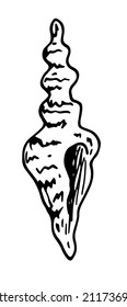 Long shell icon. Drawn in doodle style, a long shell with a pattern of dots and stripes. Isolated black outline of a seashell for a summer design template Vector drawing