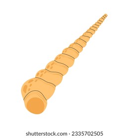 Long spiral sea shell, mollusk. Nautical seashell icon. Twisted mollusc. Ocean underwater shellfish. Exotic marine object. Flat vector illustration isolated on white background