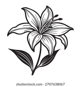 Long stem lily with two leaves vector icon