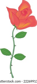 Long Stem Rose Flower Vector Illustration