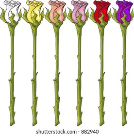 Long Stem Single Roses: White, Red, Yellow, Salmon, Peach, Purple