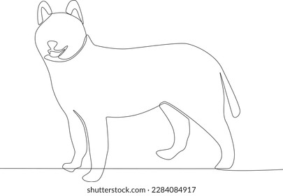 A long tail cat with thick fur. Urban pet one-line drawing