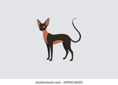 Long tail Cornish Rex Cat vector artwork featuring detailed illustration and unique feline characteristics in a digital format.