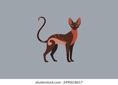 Long tail Cornish Rex Cat vector artwork featuring detailed illustration and unique feline characteristics in a digital format.