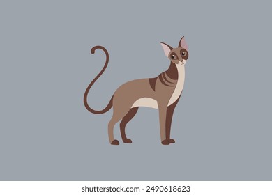 Long tail Cornish Rex Cat vector artwork featuring detailed illustration and unique feline characteristics in a digital format.