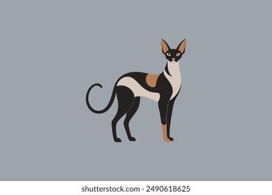 Long tail Cornish Rex Cat vector artwork featuring detailed illustration and unique feline characteristics in a digital format.