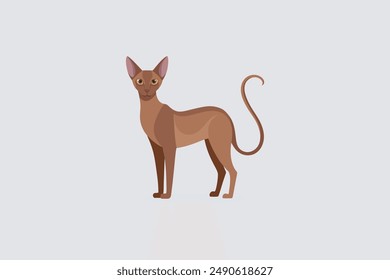 Long tail Cornish Rex Cat vector artwork featuring detailed illustration and unique feline characteristics in a digital format.