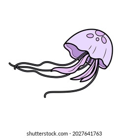 Long tail jellyfish object  color variation for coloring page isolated on white background