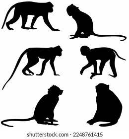 
long tail monkey set, silhouettes