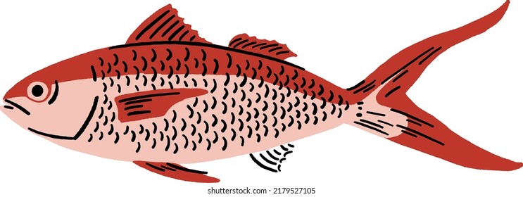 Long Tail Red Snapper Seafood Fresh Market Hand Drawn Colour Illustration