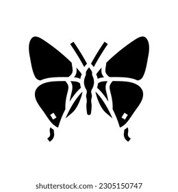 long tailed blue spring glyph icon vector. long tailed blue spring sign. isolated symbol illustration