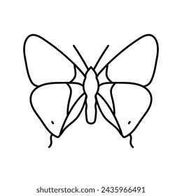 long tailed blue spring line icon vector. long tailed blue spring sign. isolated contour symbol black illustration