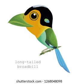 Long tailed broadbill bird cartoon - Vector