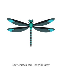 Long Tailed Skimmer Dragonfly insect isolated flat vector illustration white background