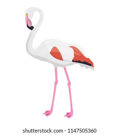 
Long thin bird animal with pointed beak, crane bird 
