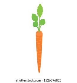 Long thin carrot icon. Isometric of long thin carrot vector icon for web design isolated on white background