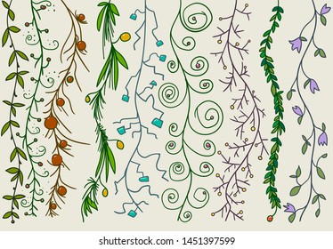 Long and thin plants grow from top to bottom. On the branches of objects there are berries and leaves.