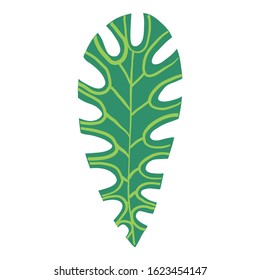 Long tropical leaf icon. Cartoon abstract vector icon for web design isolated on white background.