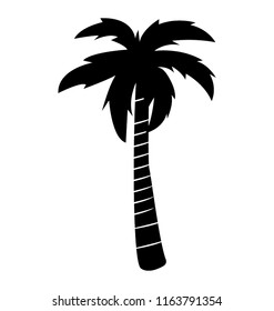 
Palme mit langem Stamm

