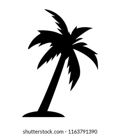 
Long trunk palm tree
