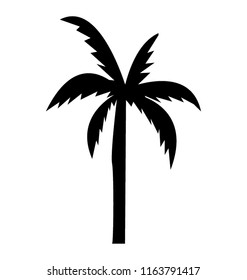 
Long trunk palm tree
