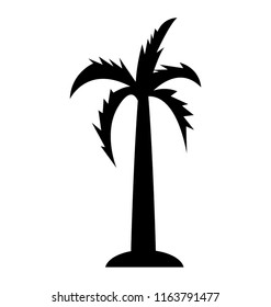 
Long trunk palm tree

