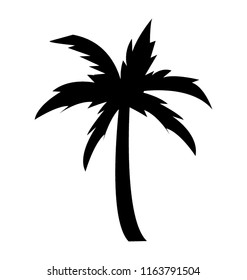 
Long trunk palm tree
