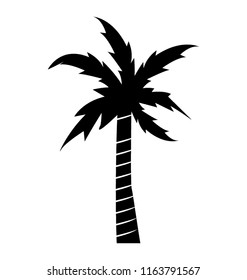 
Long trunk palm tree
