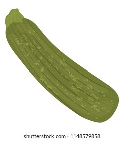 
Long vegetable in green color with rough skin layers, gripping zucchini icon
