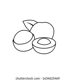 Longan black and white vector for all purpose