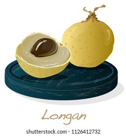 Longan, Dimocarpus longan.  Vector illustration of longan berry on the plate.