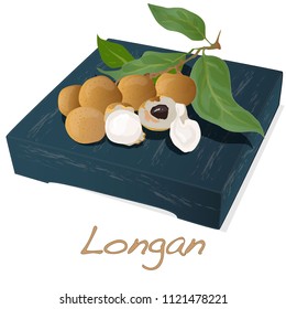 Longan, Dimocarpus longan.  Longan vector illustration on dish isolated white background.