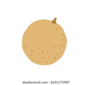 Longan, dragon eye fruit. Tropical exotic fruit. Vector hand-drawn illustration, isolated on white background.