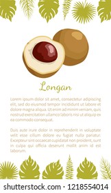 Longan exotic juicy fruit from plant related to litchi vector poster with text sample and palm leaves. Tropical food, dieting vegetarian grocery banner