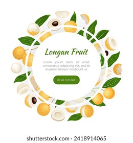 Longan Fresh Natural Fruit Banner Design Vector Template