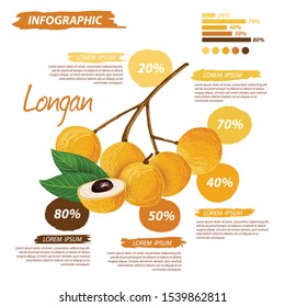 Longan, fruit doodle drawings. Infographic template vector illustration.