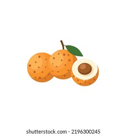 Longan Fruit Flat Design Vector Illustration Isolated on a White Background.