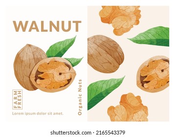 Longan Fruit packaging design templates, watercolour style vector illustration.