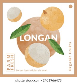 Longan Fruit packaging design templates, watercolour style vector illustration.